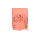 ARTIST BLUSH